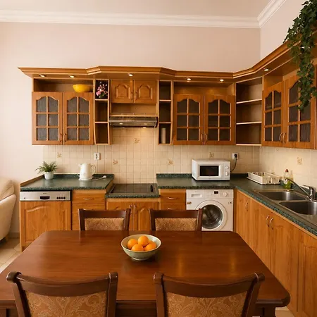 Central Karlovy Vary Apartment Apartment *