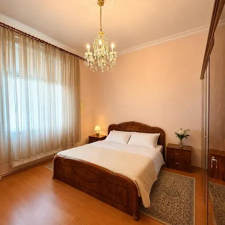 Central Karlovy Vary Apartment *