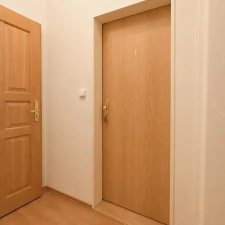Central Karlovy Vary Apartment Apartment